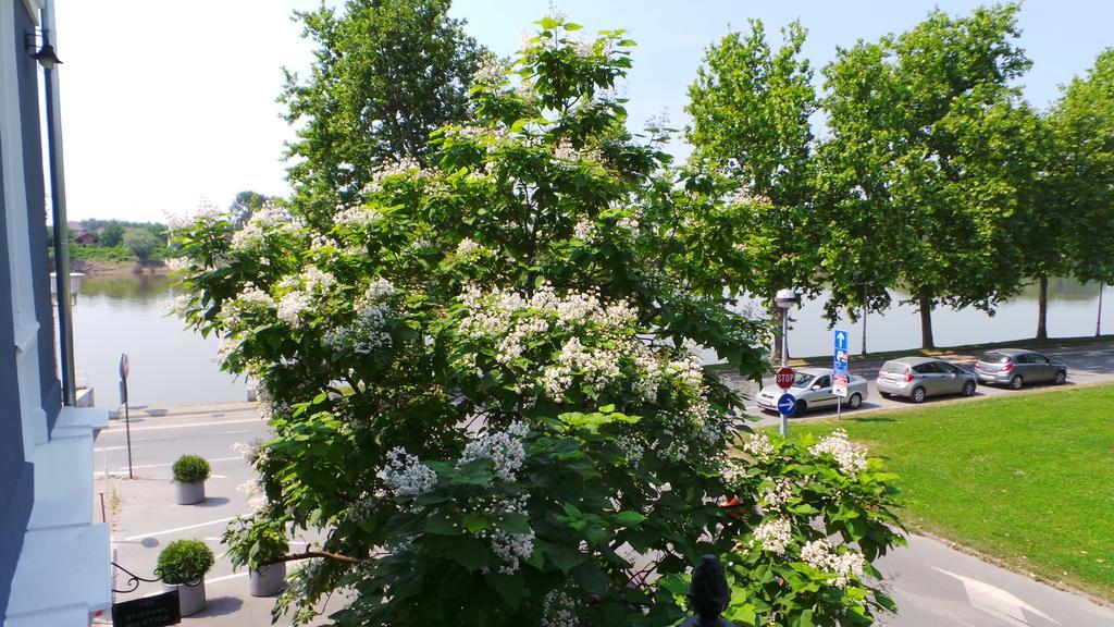 Hostel Levicki Slavonski Brod Rum bild