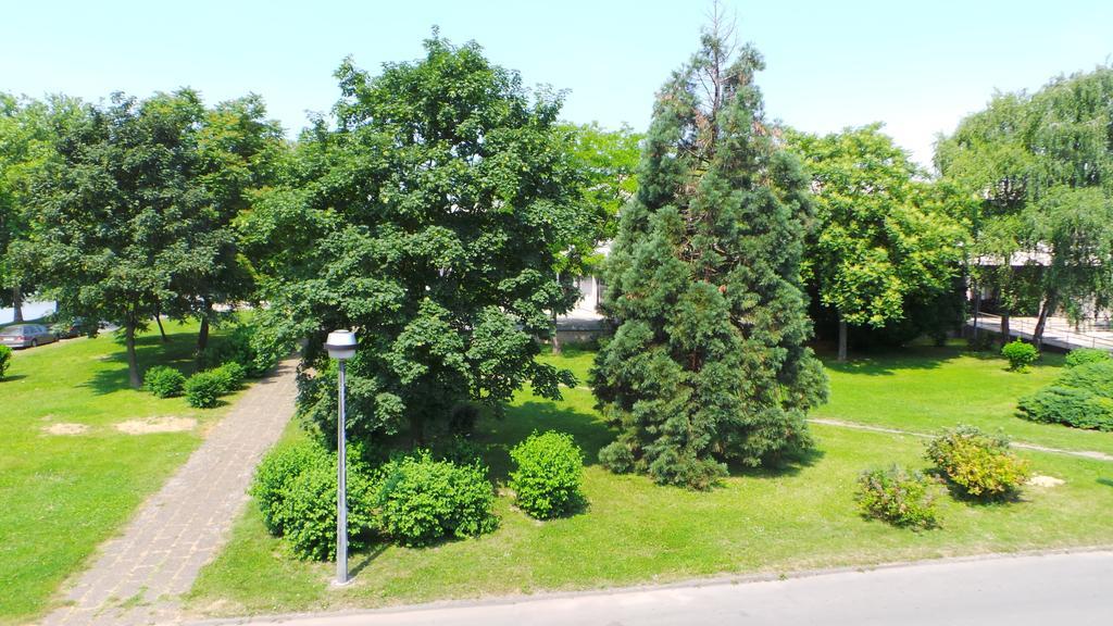 Hostel Levicki Slavonski Brod Rum bild